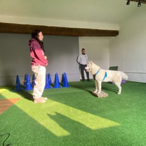 Sven K9